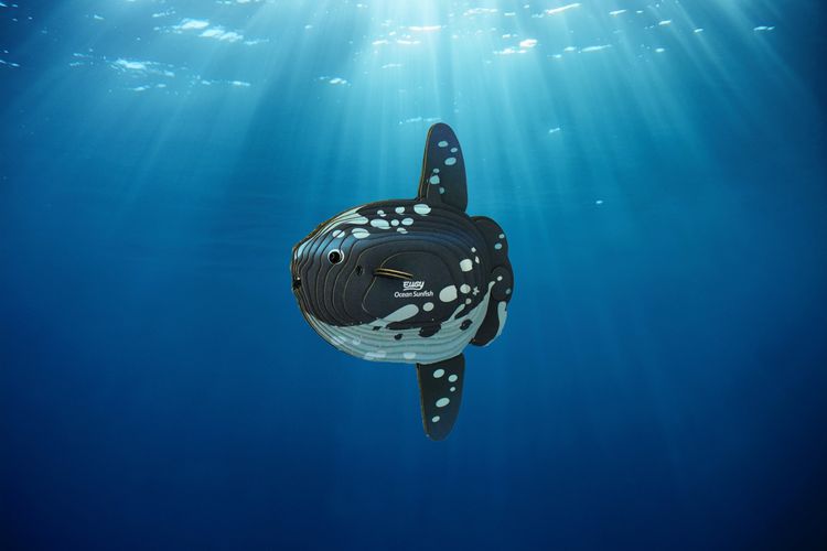 Produktbild: EUGY - 3D Bastelset Mondfisch