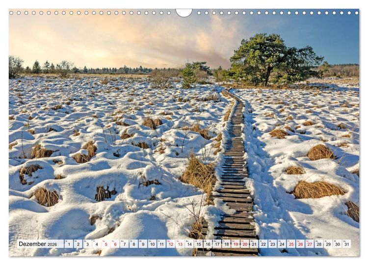 Produktbild: Die Eifel und das Hohe Venn (Wandkalender 2026 DIN A3 quer), CALVENDO Monatskalender