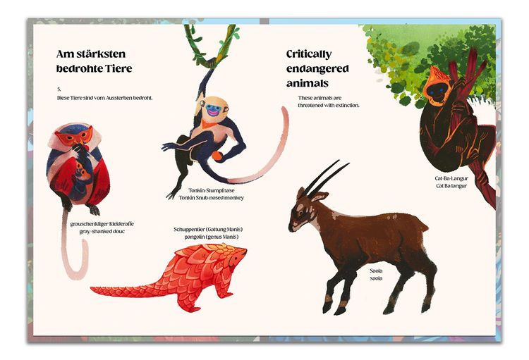 Produktbild: Das Land der Drachen und Feen - The Land of Dragons and Fairies