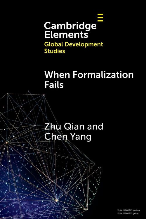 Produktbild: When Formalization Fails