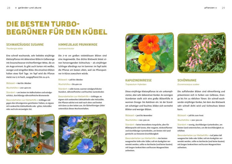 Produktbild: Begr&uuml;nen was geht