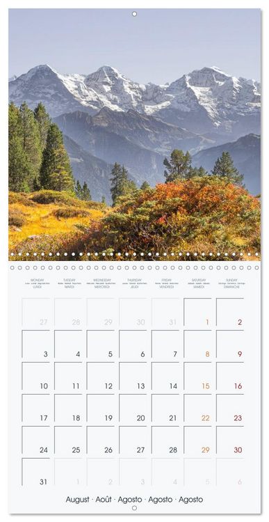 Produktbild: The Alps - A Year in the Mountains (Wall Calendar 2026 12 &times; 12 Inch) CALVENDO 12 Month Wall Calendar