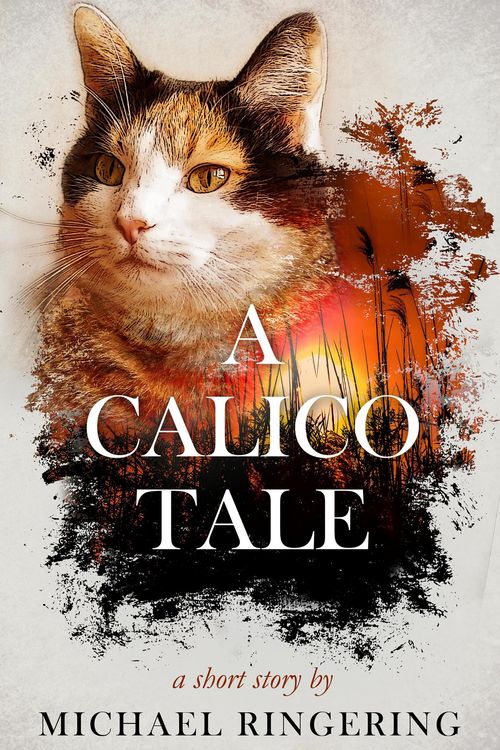 Produktbild: A Calico Tale