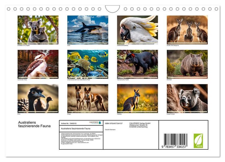 Produktbild: Australiens faszinierende Fauna (Wandkalender 2026 DIN A4 quer), CALVENDO Monatskalender