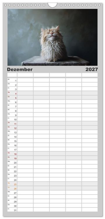 Produktbild: Familienplaner 2027 - Auch Katzen lachen gern mit 5 Spalten (Wandkalender, 21 x 45 cm) CALVENDO