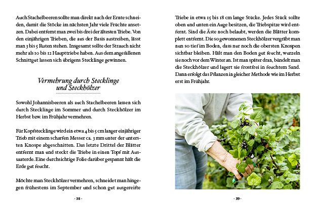Produktbild: Das große kleine Buch: Mein Naschgarten