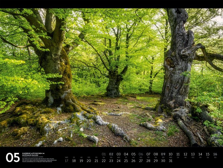 Produktbild: Naturparadies Deutschland Signature Kalender 2027