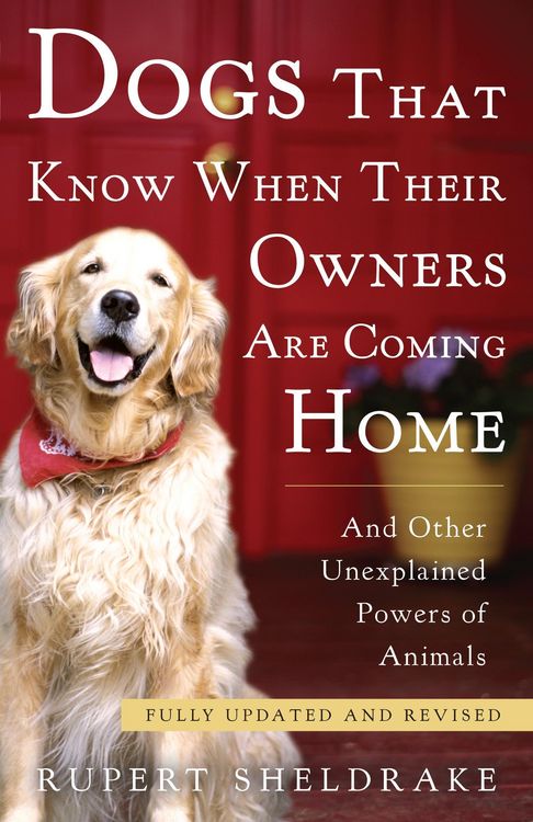 Produktbild: Dogs That Know When Their Owners Are Coming Home