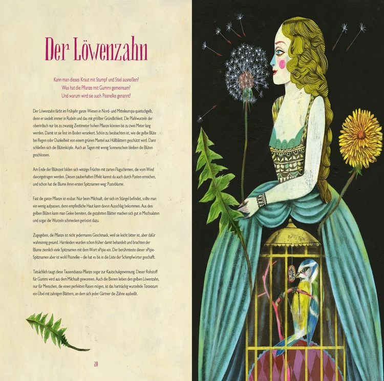 Produktbild: Olaf Hajeks Buch der Blumen