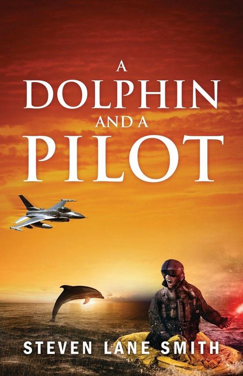 Produktbild: A Dolphin and a Pilot