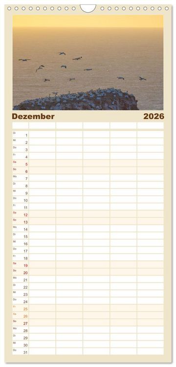 Produktbild: Familienplaner 2026 - Basst&ouml;lpel - Helgolands faszinierende V&ouml;gel mit 5 Spalten (Wandkalender, 21 x 45 cm) CALVENDO