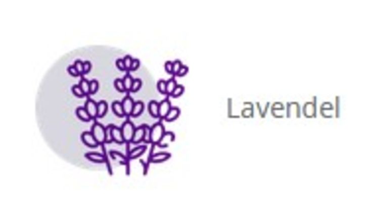 Warmies 1178 - Wombat, Wärmestofftier mit herausnehmbarer Hirsekorn-Lavendel-Füllung