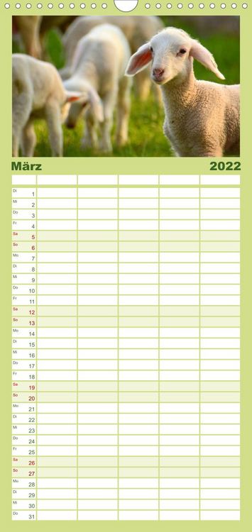 Produktbild: Familienplaner Die lieben Kleinen ... Tierkinder einfach zum Knuddeln (Wandkalender 2022 , 21 cm x 45 cm, hoch)