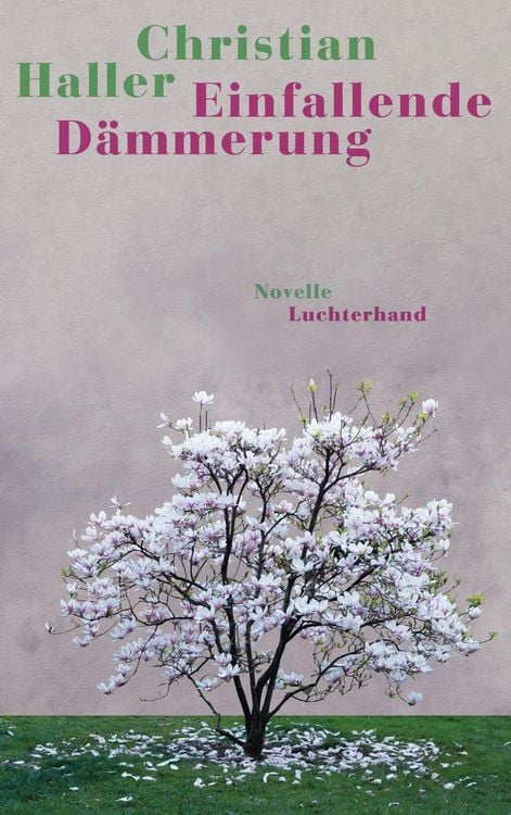 Produktbild: Einfallende D&auml;mmerung