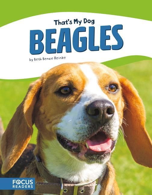 Produktbild: Beagles