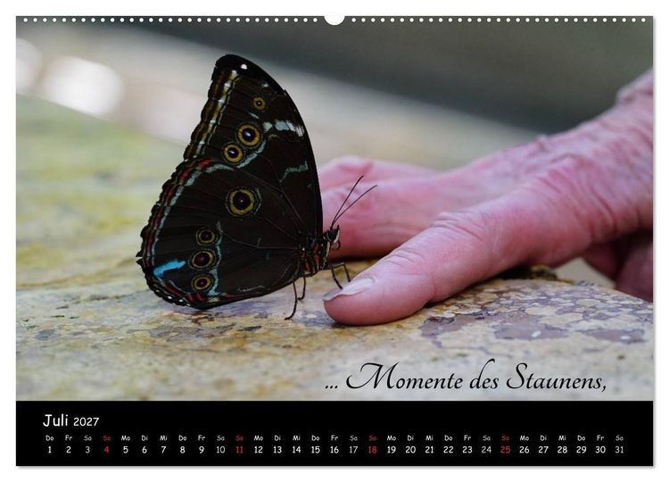 Produktbild: Gut gelaunt durch's Rentenjahr (Wandkalender 2027 DIN A2 quer), CALVENDO Monatskalender