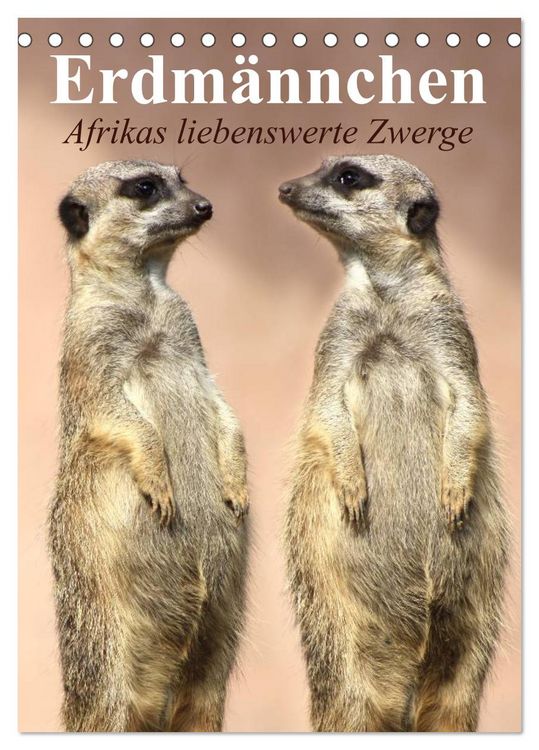 Produktbild: Erdm&auml;nnchen - Afrikas liebenswerte Zwerge (Tischkalender 2026 DIN A5 hoch), CALVENDO Monatskalender