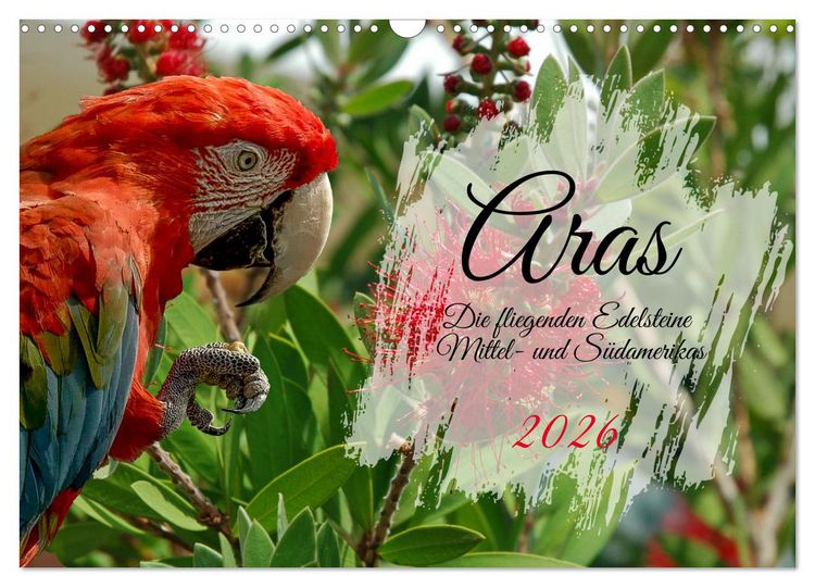 Produktbild: Aras - die fliegenden Edelsteine Mittel- und S&uuml;damerikas (Wandkalender 2026 DIN A3 quer), CALVENDO Monatskalender