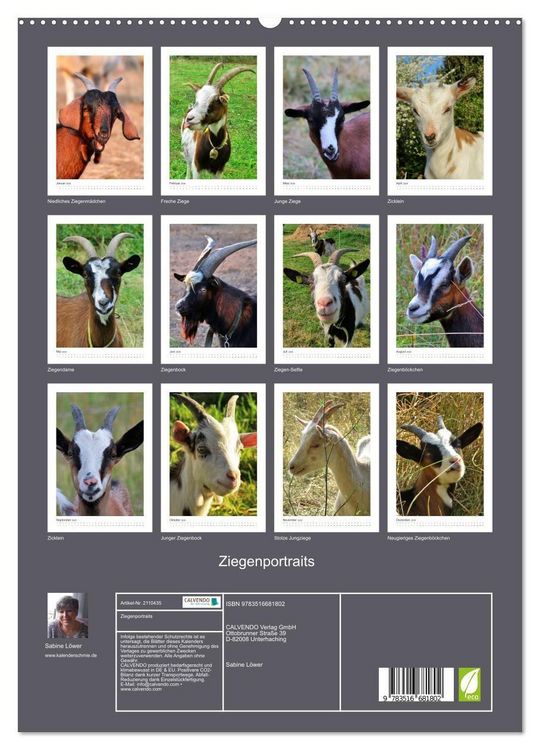 Produktbild: Ziegenportraits (hochwertiger Premium Wandkalender 2026 DIN A2 hoch), Kunstdruck in Hochglanz