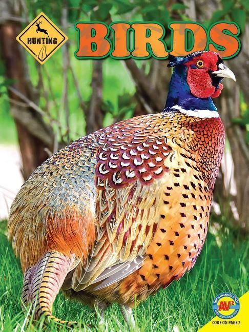 Produktbild: Birds