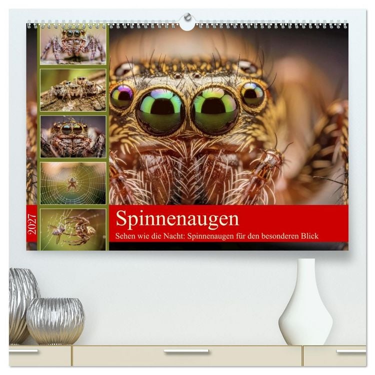 Produktbild: Spinnenaugen (hochwertiger Premium Wandkalender 2027 DIN A2 quer), Kunstdruck in Hochglanz