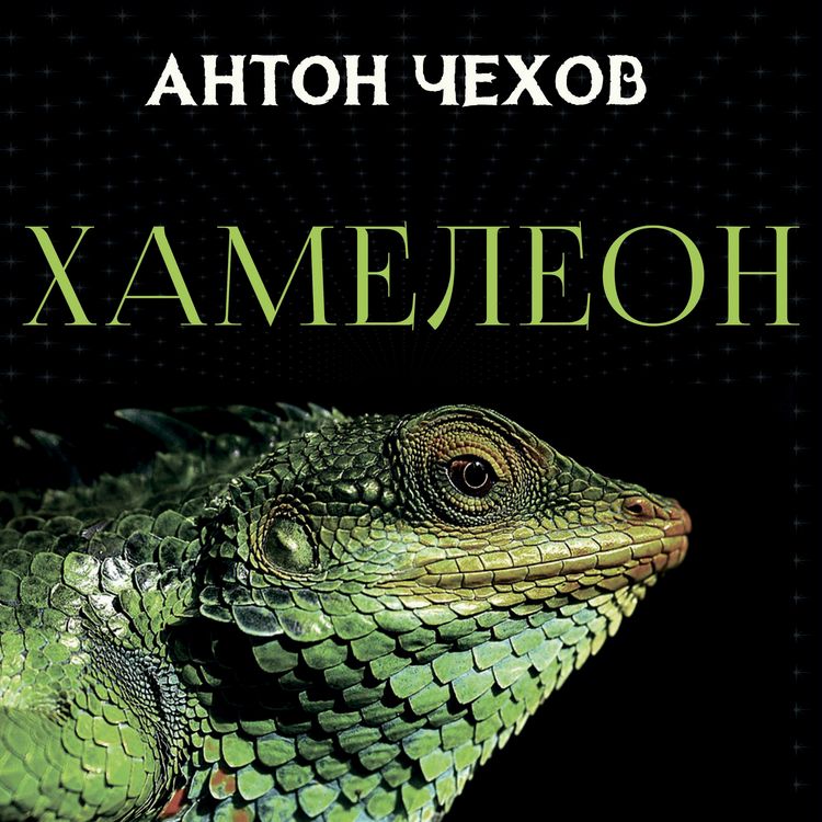 Produktbild: Chameleon