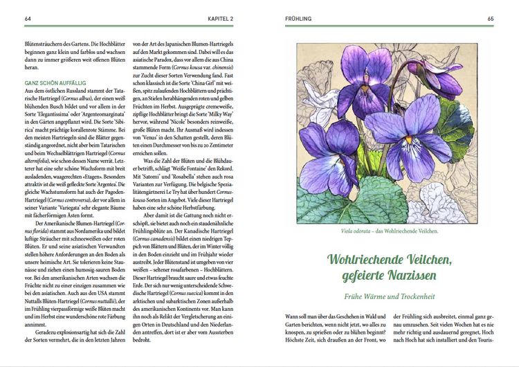 Produktbild: Von fiesen Schädlingen, duftenden Kräutern und üppigen Blumen