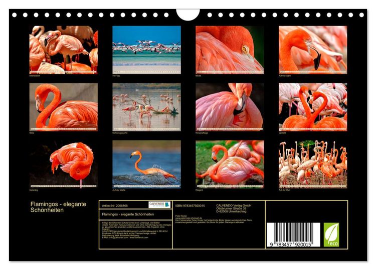 Produktbild: Flamingos - elegante Sch&ouml;nheiten (Wandkalender 2026 DIN A4 quer), CALVENDO Monatskalender