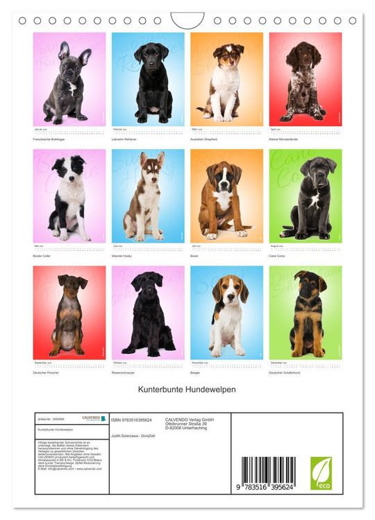 Produktbild: Kunterbunte Hundewelpen (Wandkalender 2026 DIN A4 hoch), CALVENDO Monatskalender