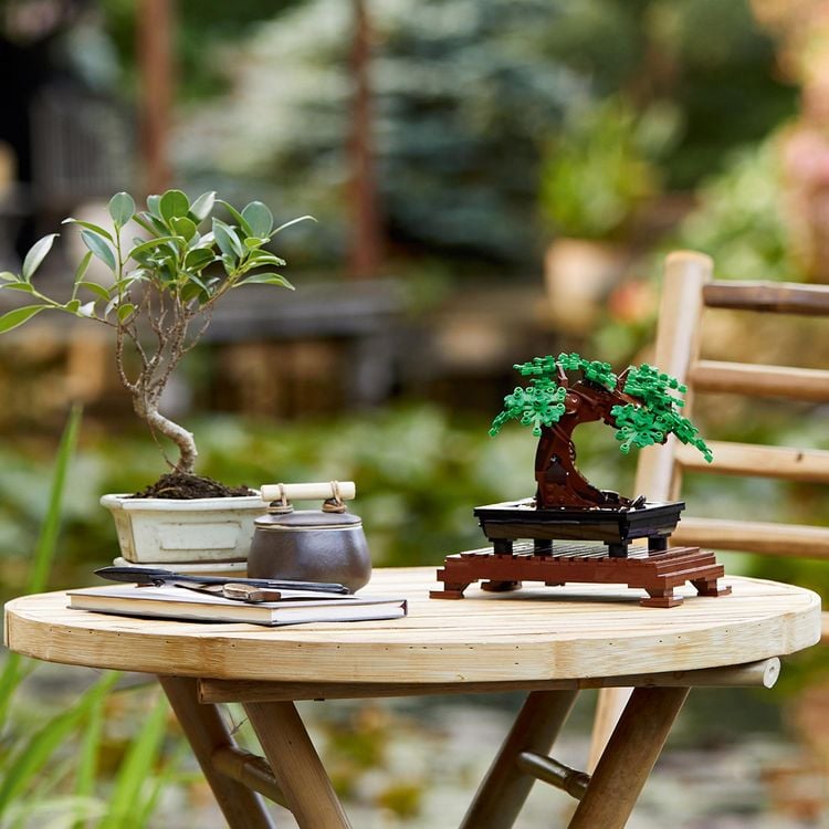 Produktbild: LEGO Botanicals Bonsai Baum - Kunstpflanzen Set f&uuml;r Erwachsene 10281