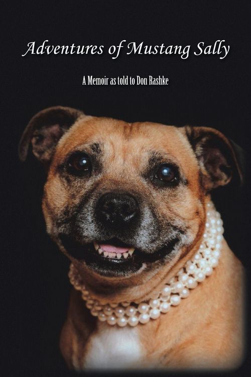 Produktbild: Adventures of Mustang Sally