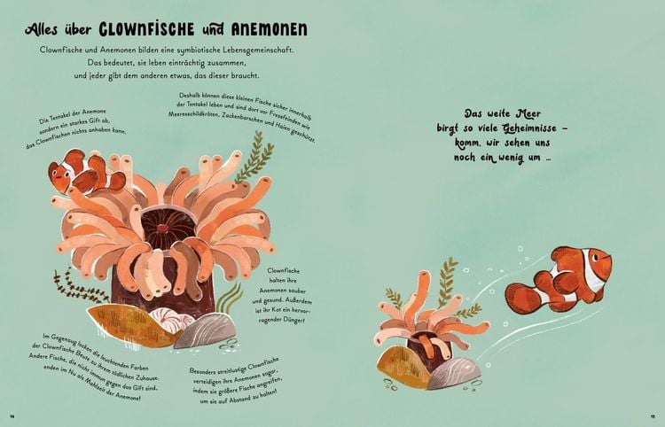 Produktbild: Kleine und gro&szlig;e Wunder der Meere