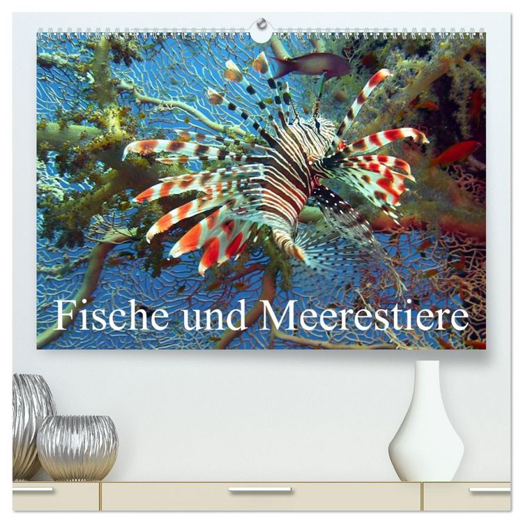 Produktbild: Fische und Meerestiere (hochwertiger Premium Wandkalender 2026 DIN A2 quer), Kunstdruck in Hochglanz