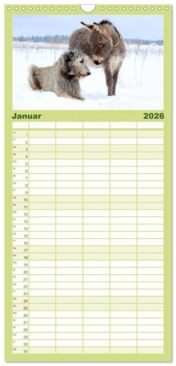 Produktbild: Familienplaner 2026 - Das Esel-Paradies - Hunde und andere Feunde mit 5 Spalten (Wandkalender, 21 x 45 cm) CALVENDO