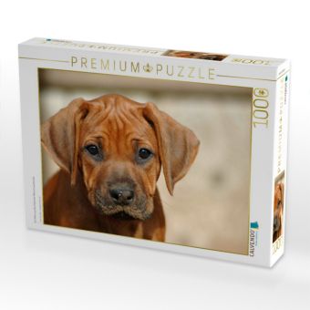 Produktbild: CALVENDO Puzzle Ein Motiv aus dem Kalender Kleine L&ouml;wenhunde | 1000 Teile Lege-Gr&ouml;&szlig;e 64x48cm Foto-Puzzle f&uuml;r gl&uuml;ckliche Stunden