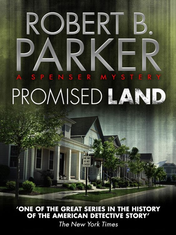 Produktbild: Promised Land