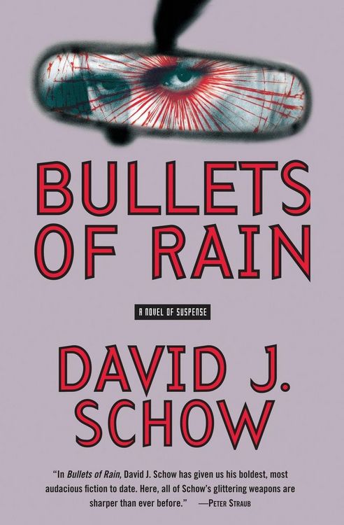Produktbild: Bullets of Rain