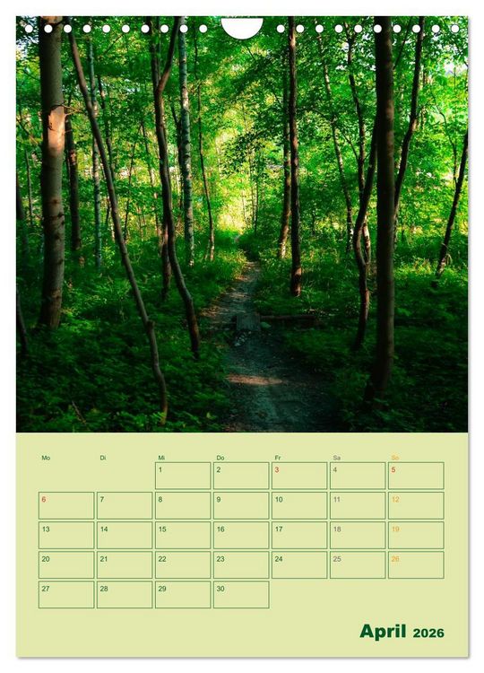 Produktbild: Wald- und Wiesenkalender 2026 Planer (Wandkalender 2026 DIN A4 hoch), CALVENDO Monatskalender