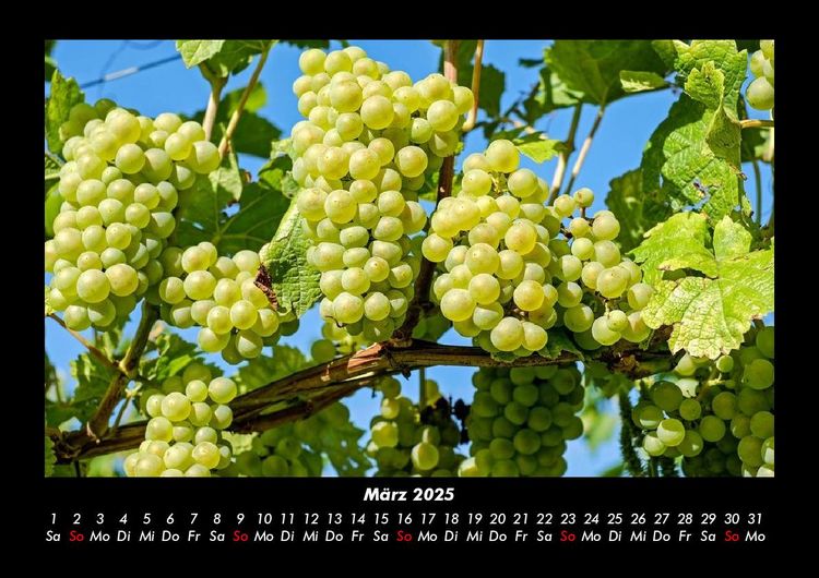 Produktbild: Obstkalender 2025 Fotokalender DIN A3