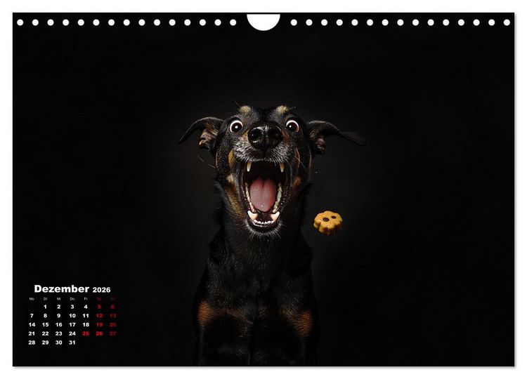 Produktbild: Leckerchen! (Wandkalender 2026 DIN A4 quer), CALVENDO Monatskalender