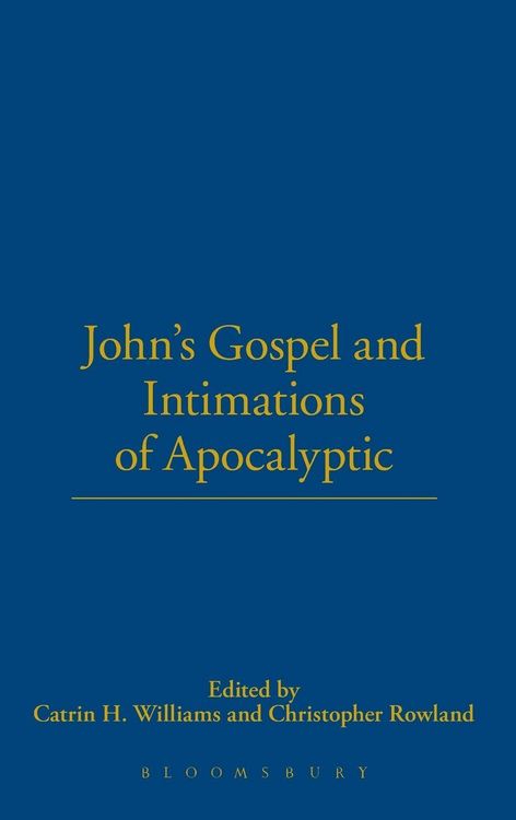 Produktbild: John's Gospel and Intimations of Apocalyptic