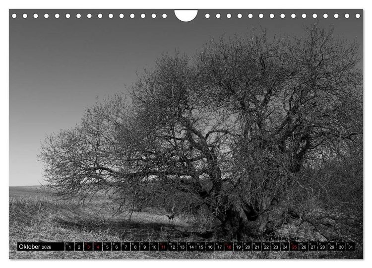 Produktbild: Die Magie der Stille (Wandkalender 2026 DIN A4 quer), CALVENDO Monatskalender