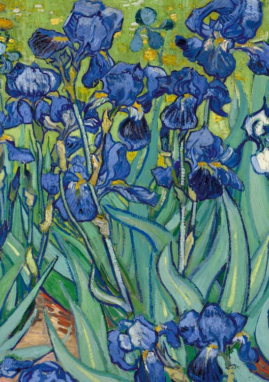 Produktbild: Notizbuch A5 blanko Hardcover - 100 Seiten - Motiv Schwertlilien (Irises) Vincent van Gogh - 90g/m