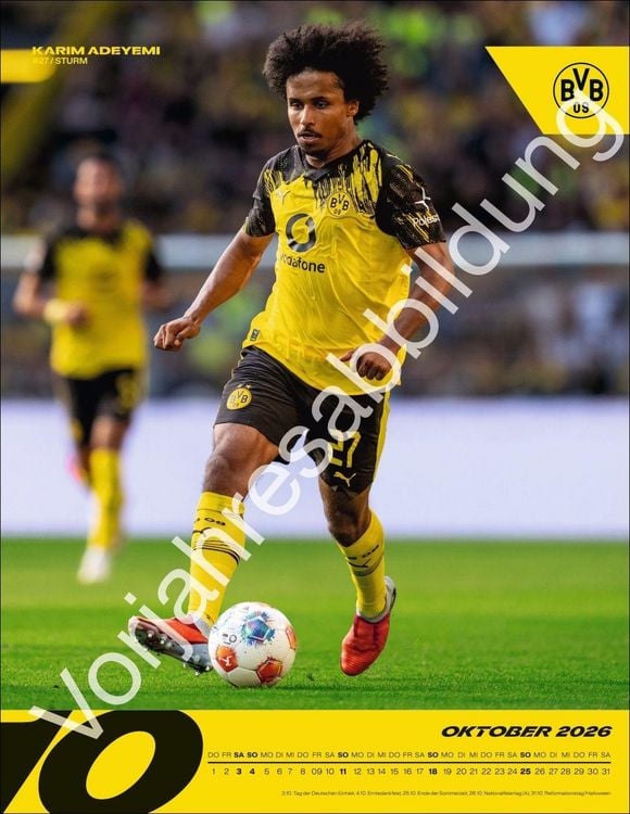Produktbild: BVB Posterkalender 2027