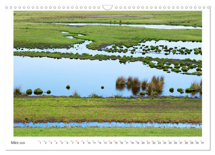 Produktbild: Buntes und bl&uuml;hendes Borkum (Wandkalender 2026 DIN A3 quer), CALVENDO Monatskalender