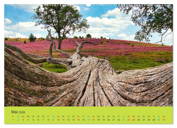 Produktbild: Die Heide bl&uuml;ht (hochwertiger Premium Wandkalender 2026 DIN A2 quer), Kunstdruck in Hochglanz
