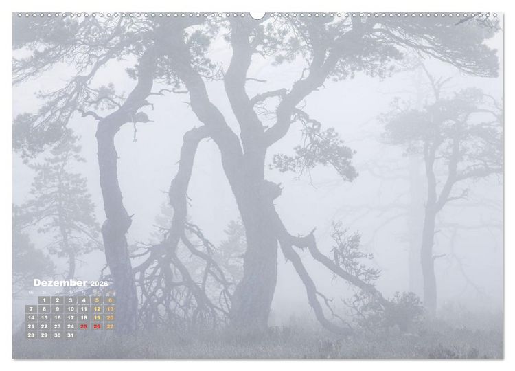 Produktbild: Naturschauspiele in Schottland (hochwertiger Premium Wandkalender 2026 DIN A2 quer), Kunstdruck in Hochglanz