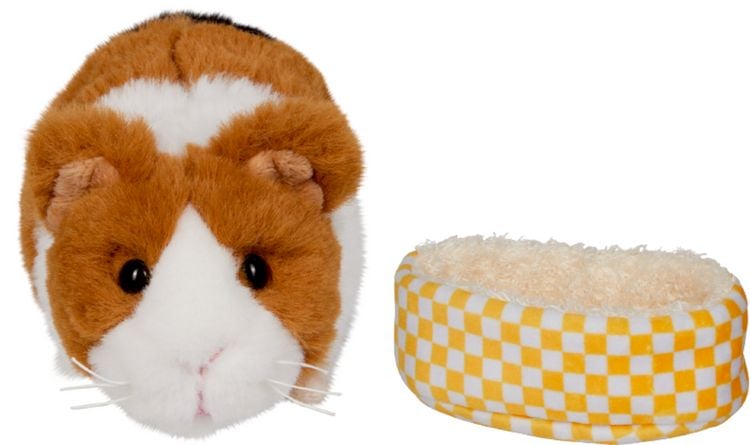 Produktbild: Meerschweinchen Lola im Korb
