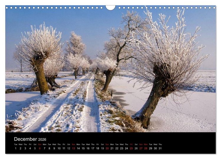 Produktbild: Dutch Landscapes: Alblasserwaard 2026 (Wall Calendar 2026 DIN A3 landscape), CALVENDO 12 Month Wall Calendar