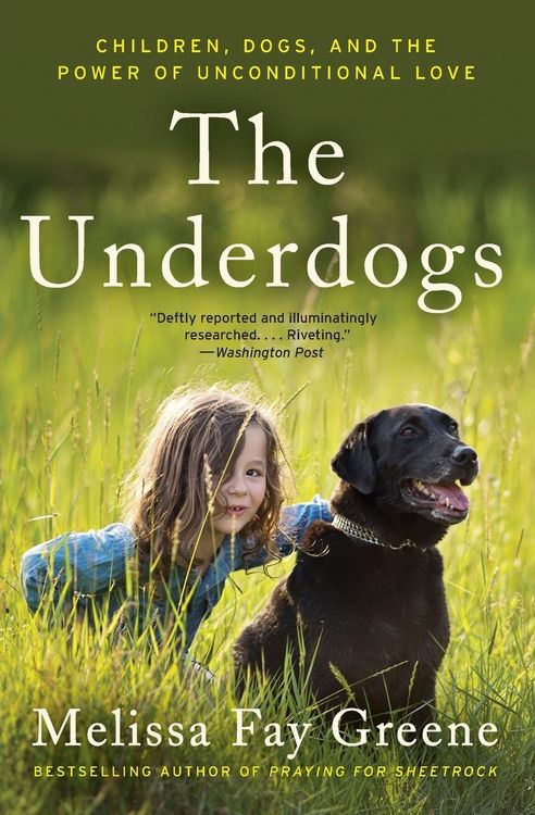 Produktbild: The Underdogs